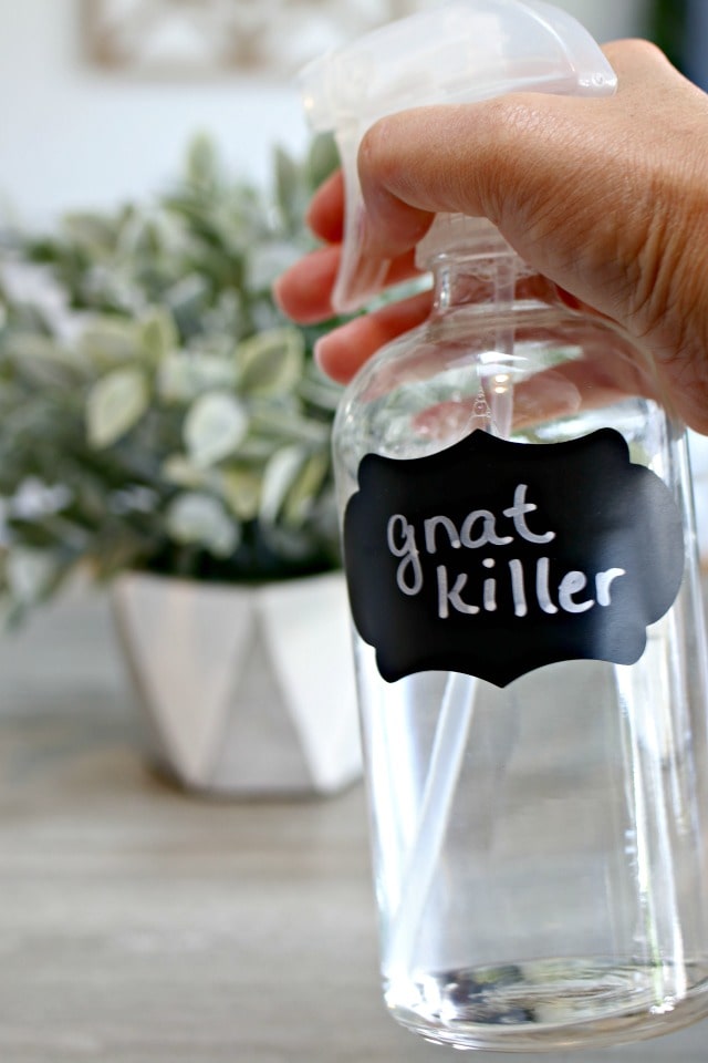 Image of a Homemade Gnat killing spray